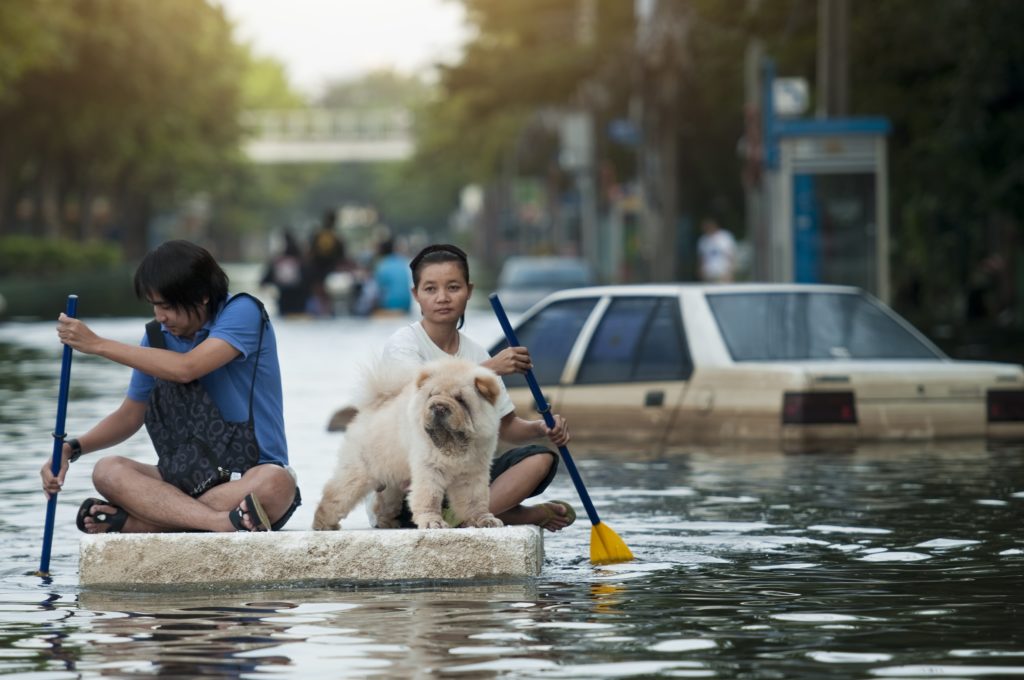 istock, gdagys