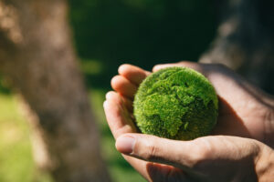 Hand,Of,Human,Holding,Earth,At,Garden,In,Morning,,Ecology