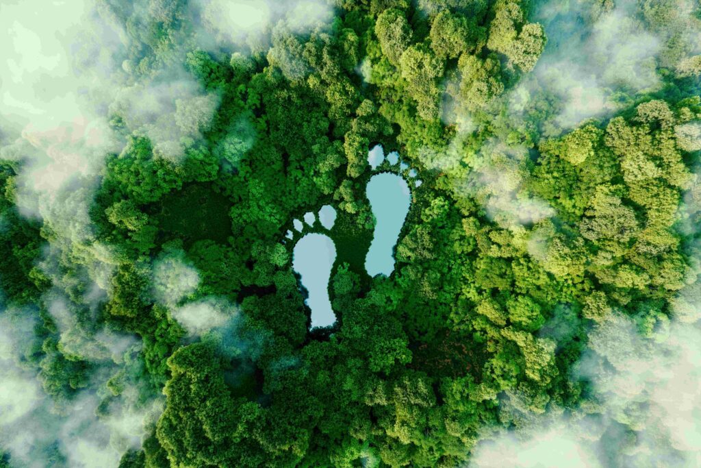 shutterstock, petrmalinak footprint